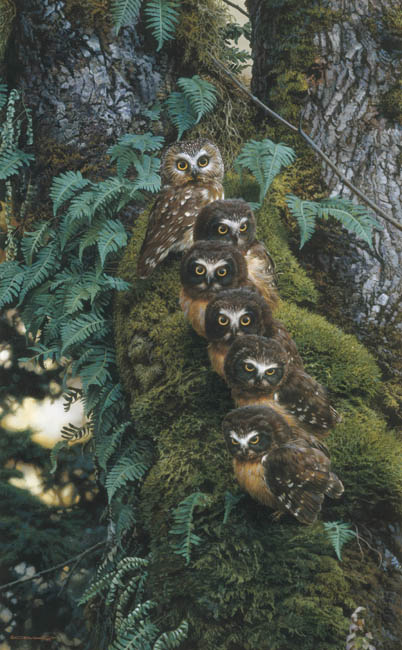 Reproductions of Carl Brenders paintings Family Tree,The-Owl Reproductions of Carl Brenders paintings Family Tree,The-Owl